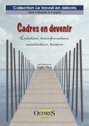 Cadres en devenir – Evolutions, trans-formations, socialisations, tensions