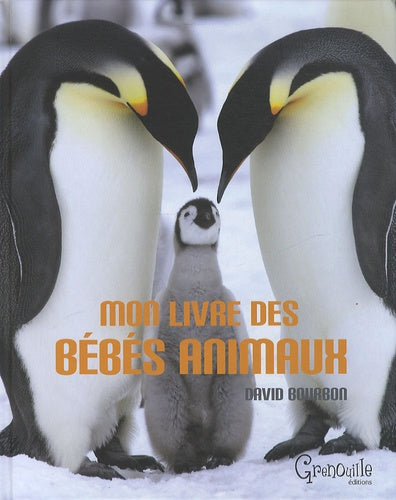 Mon livre des bébés animaux