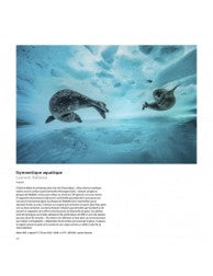Wildlife photographer of the year 2017