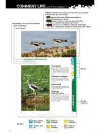 Les oiseaux du Kouilou