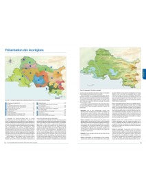La flore remarquable des Bouches-du-Rhône