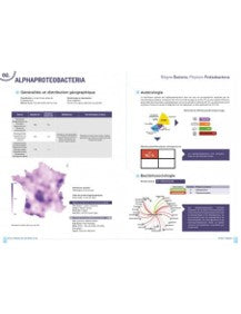Atlas français des bactéries du sol