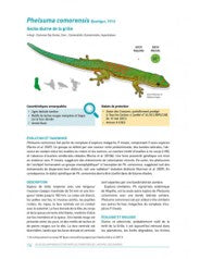 Atlas des amphibiens et reptiles terrestres de l'archipel des Comores