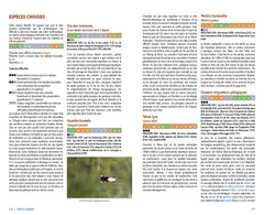 Observer les oiseaux en france