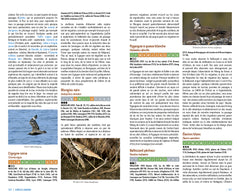 Observer les oiseaux en france