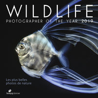 Wildlife Photographer of the Year 2019: Les plus belles photos de nature