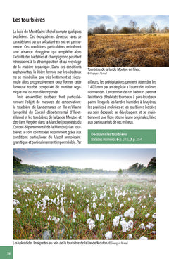 Faune & flore de la Baie du Mont Saint-Michel
