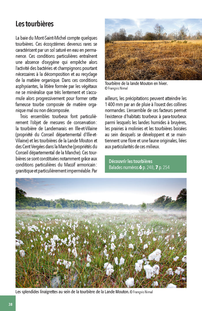 Faune & flore de la Baie du Mont Saint-Michel