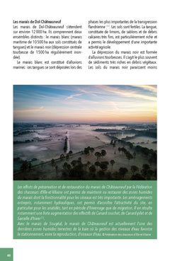 Faune & flore de la Baie du Mont Saint-Michel