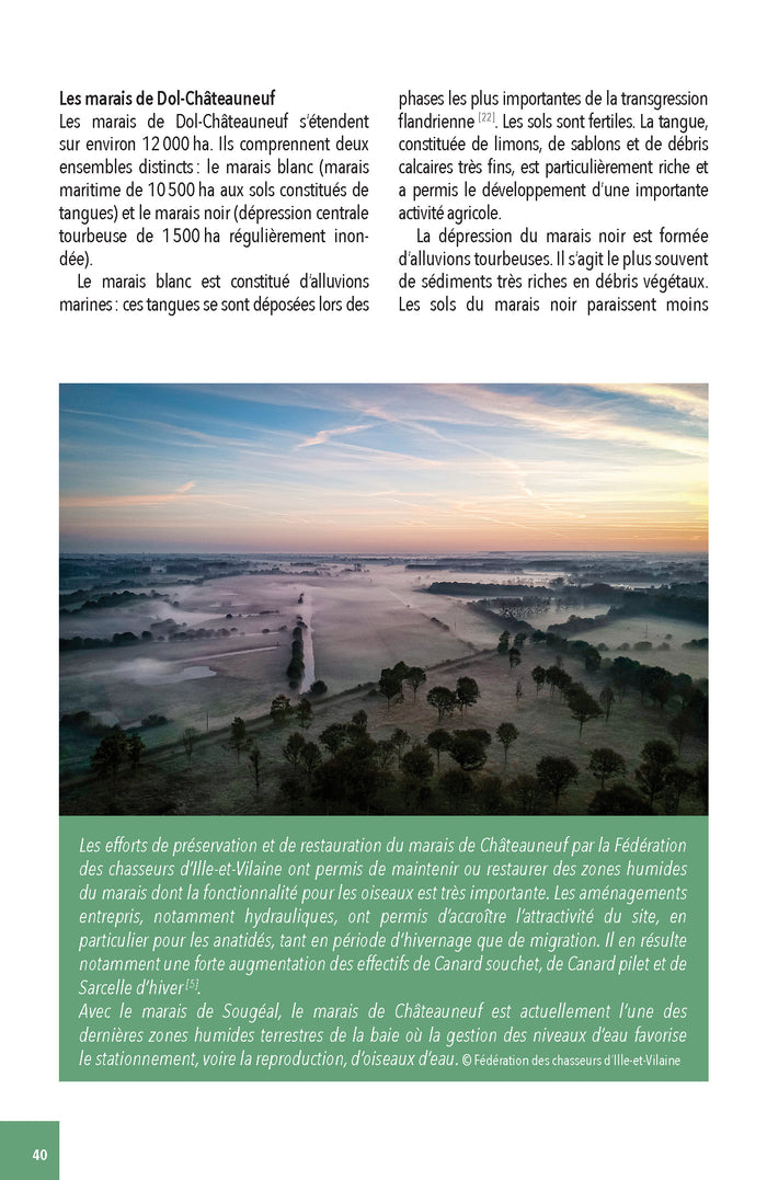 Faune & flore de la Baie du Mont Saint-Michel