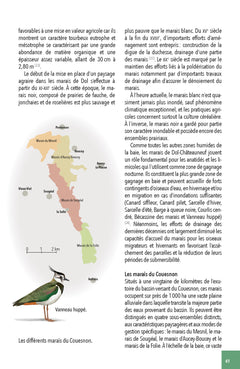 Faune & flore de la Baie du Mont Saint-Michel