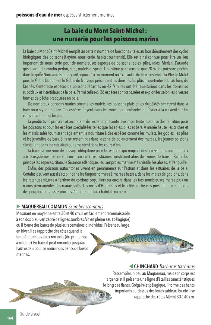 Faune & flore de la Baie du Mont Saint-Michel