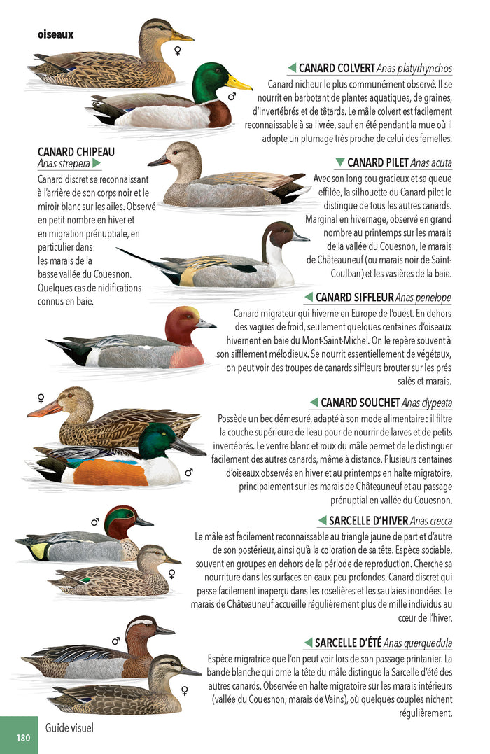 Faune & flore de la Baie du Mont Saint-Michel