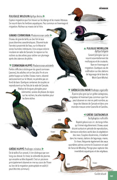 Faune & flore de la Baie du Mont Saint-Michel