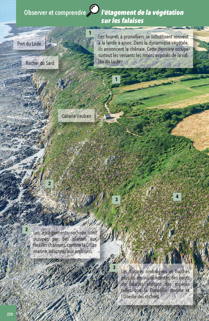 Faune & flore de la Baie du Mont Saint-Michel