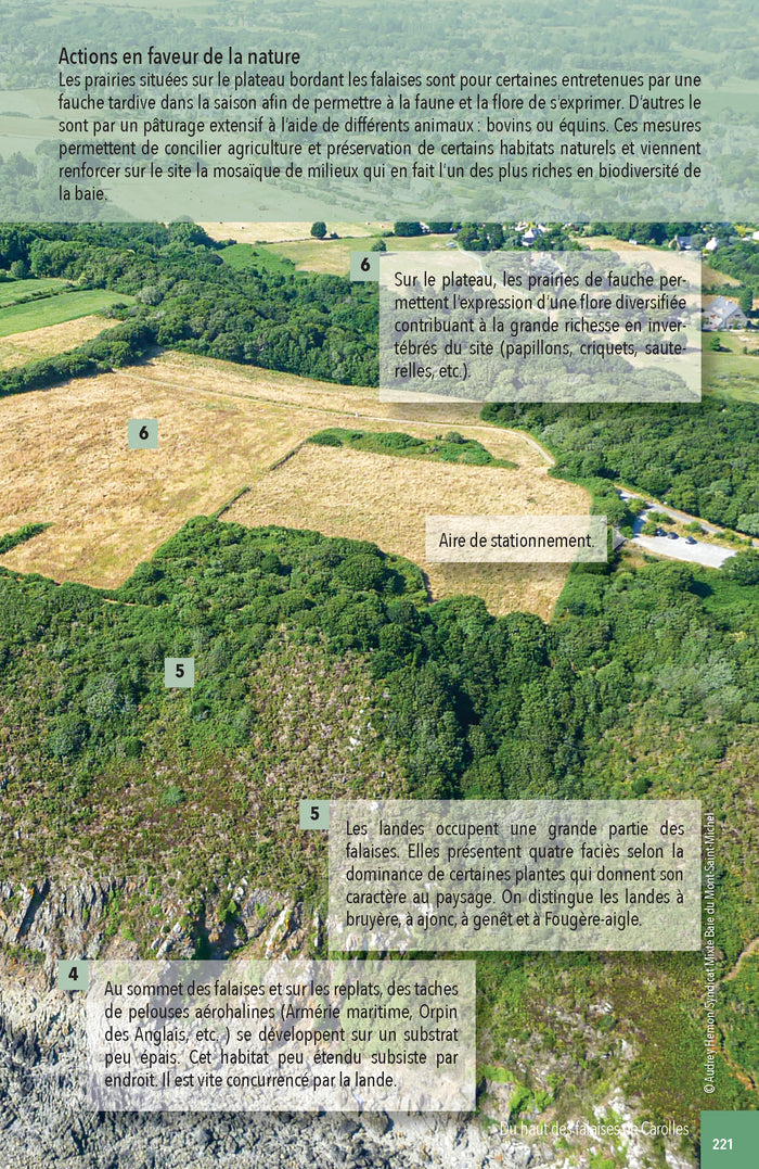 Faune & flore de la Baie du Mont Saint-Michel