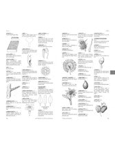 Dictionnaire illustre de botanique
