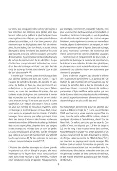 L'abeille a miel
