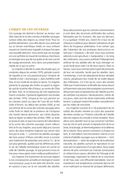 L'abeille a miel