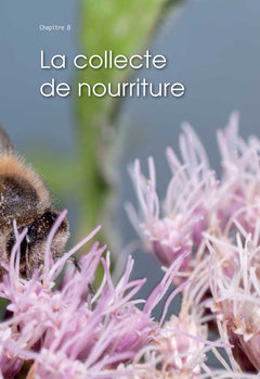L'abeille a miel