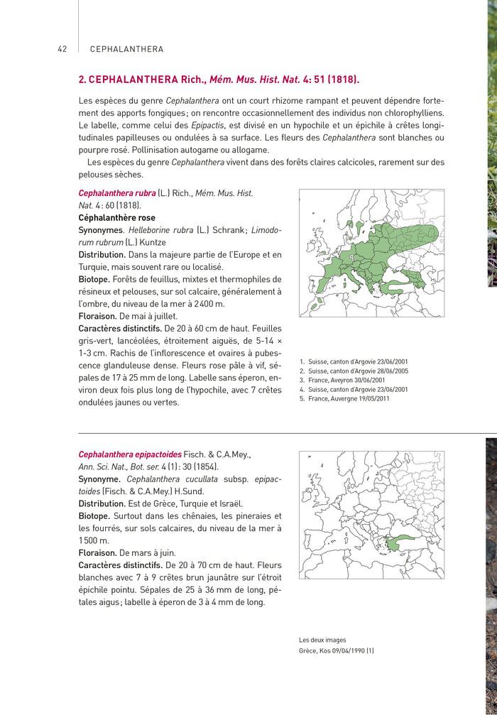 Orchidées d'Europe et de Méditerranée