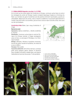 Orchidées d'Europe et de Méditerranée