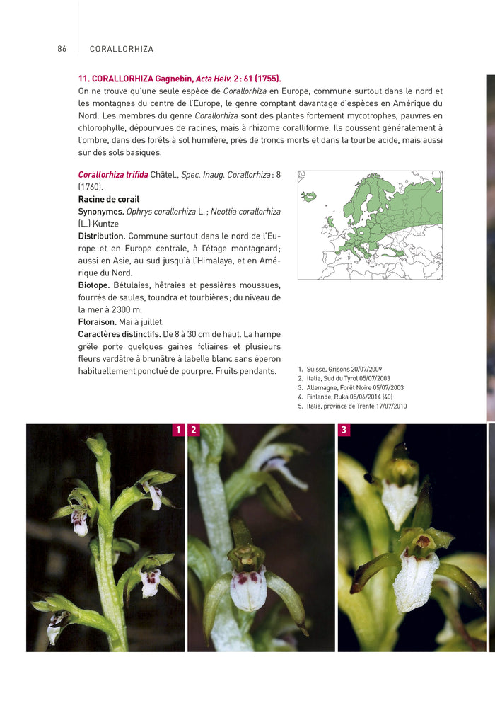 Orchidées d'Europe et de Méditerranée