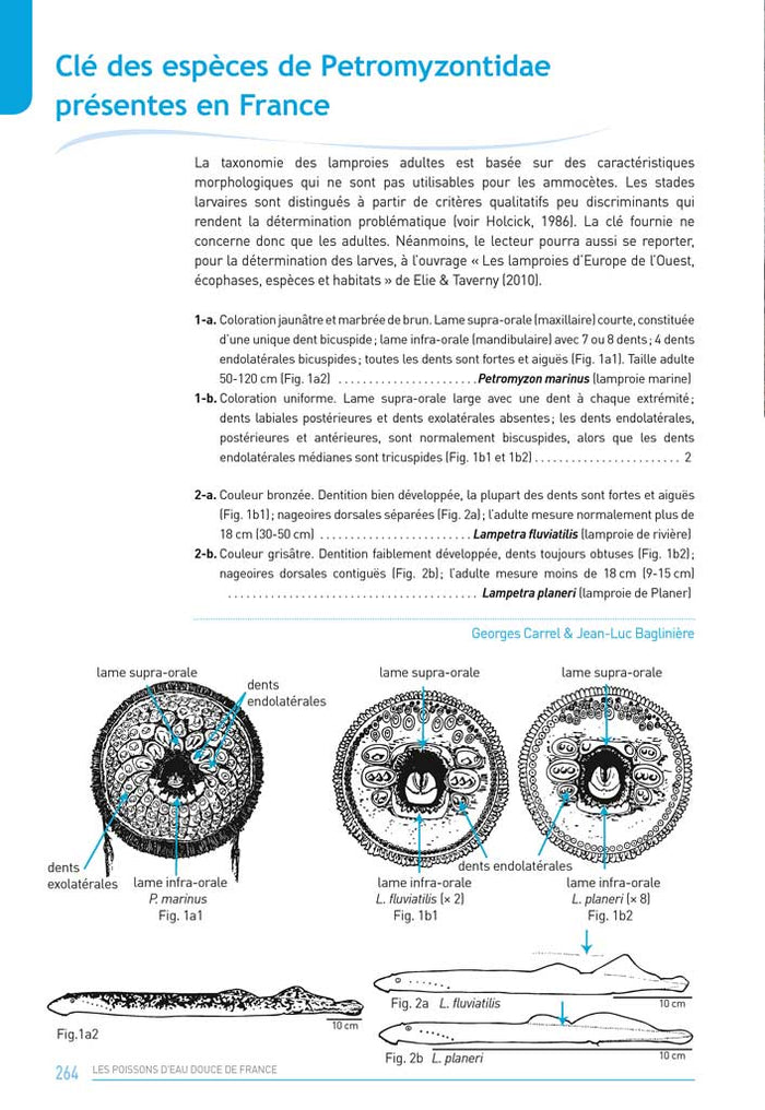 Les poissons d'eau douce de France