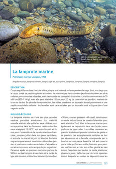 Les poissons d'eau douce de France