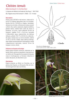 Les Orchidées de Guyane