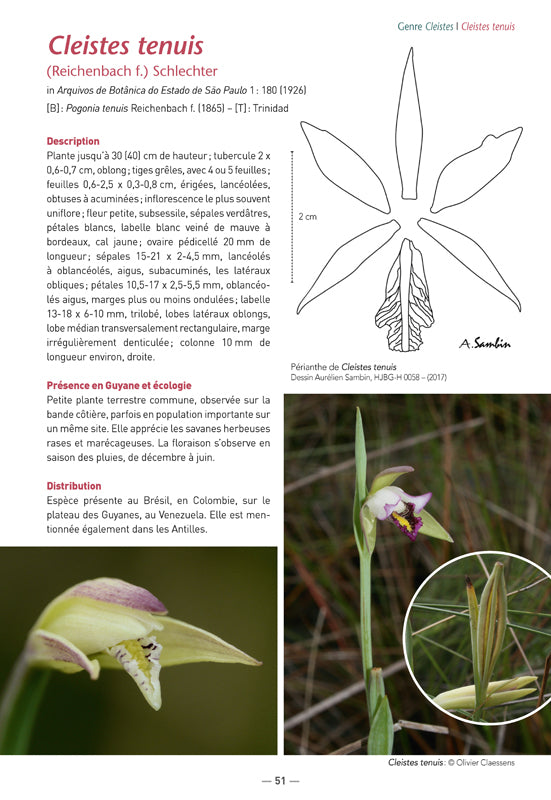 Les Orchidées de Guyane