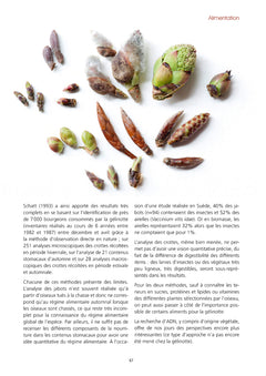 La Gélinotte des bois