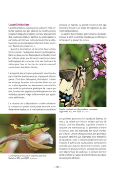 A la découverte des orchidées de Poitou-Charentes et de Vendée