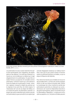 A la découverte des orchidées de Poitou-Charentes et de Vendée