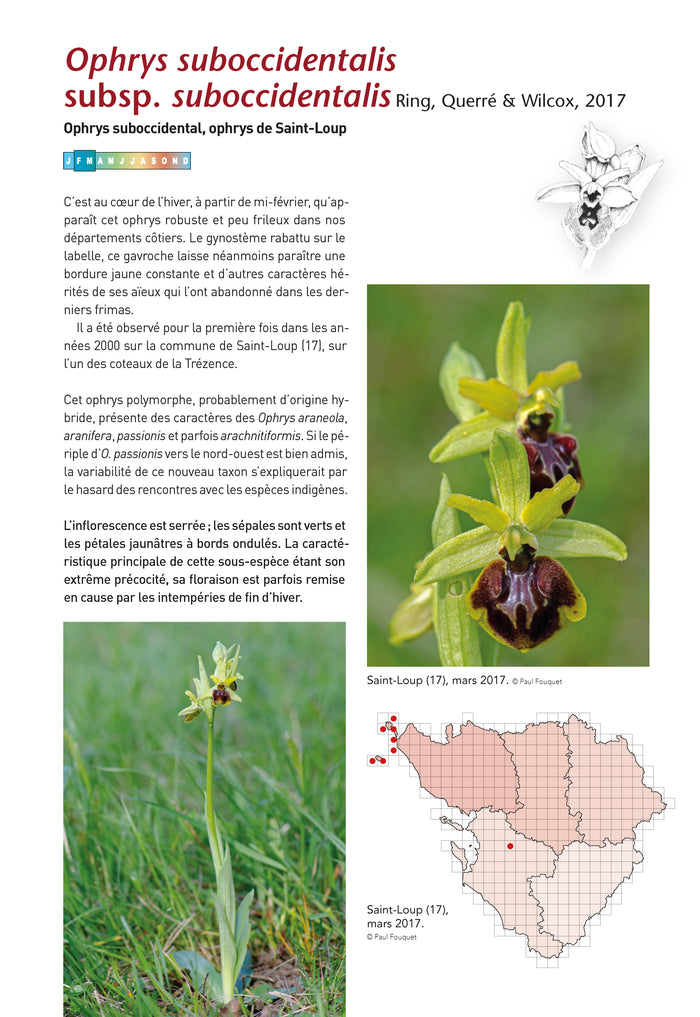 A la découverte des orchidées de Poitou-Charentes et de Vendée