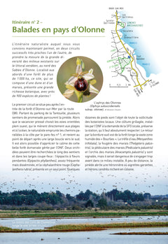 A la découverte des orchidées de Poitou-Charentes et de Vendée