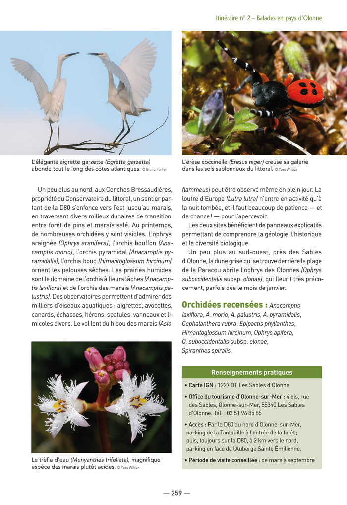 A la découverte des orchidées de Poitou-Charentes et de Vendée