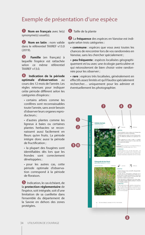 Guide illustré de la flore de Vanoise