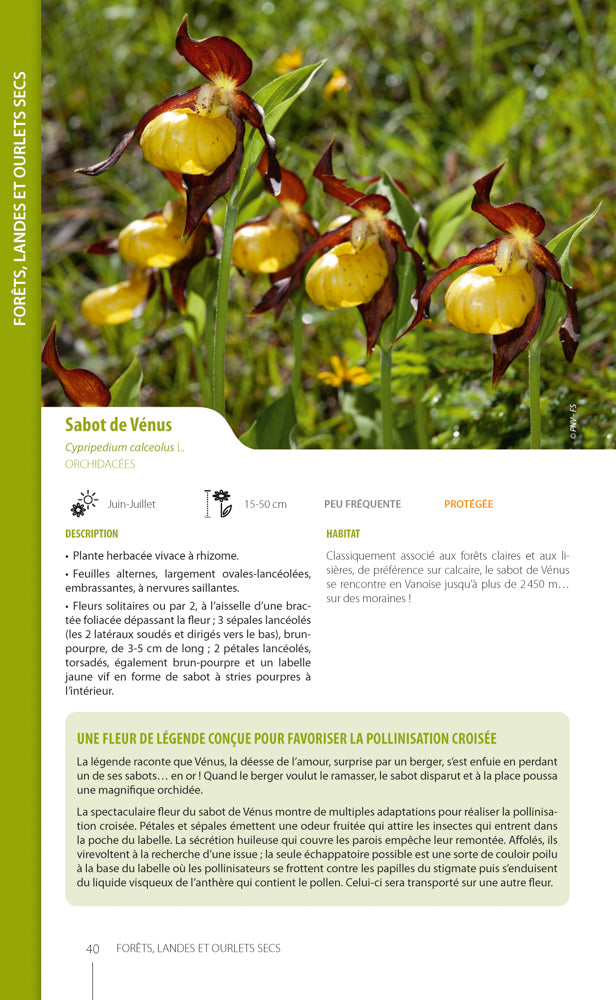 Guide illustré de la flore de Vanoise