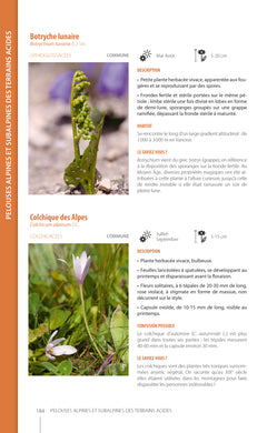 Guide illustré de la flore de Vanoise
