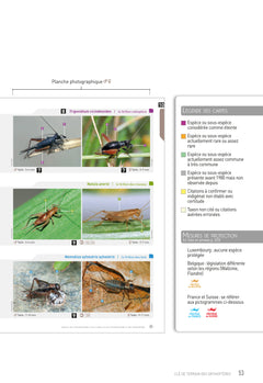 Cahier d'identification des orthoptères France Belgique Luxembourg Suisse 2e édition