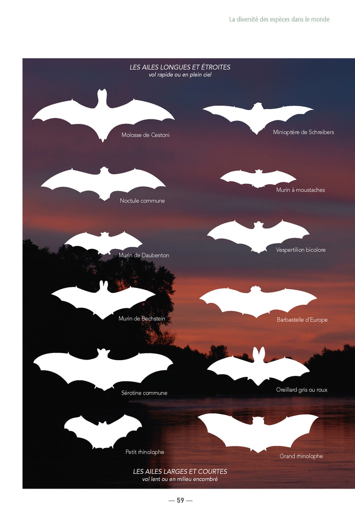Les chauves-souris de France, Belgique, Luxembourg et Suisse