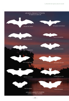 Les chauves-souris de France, Belgique, Luxembourg et Suisse