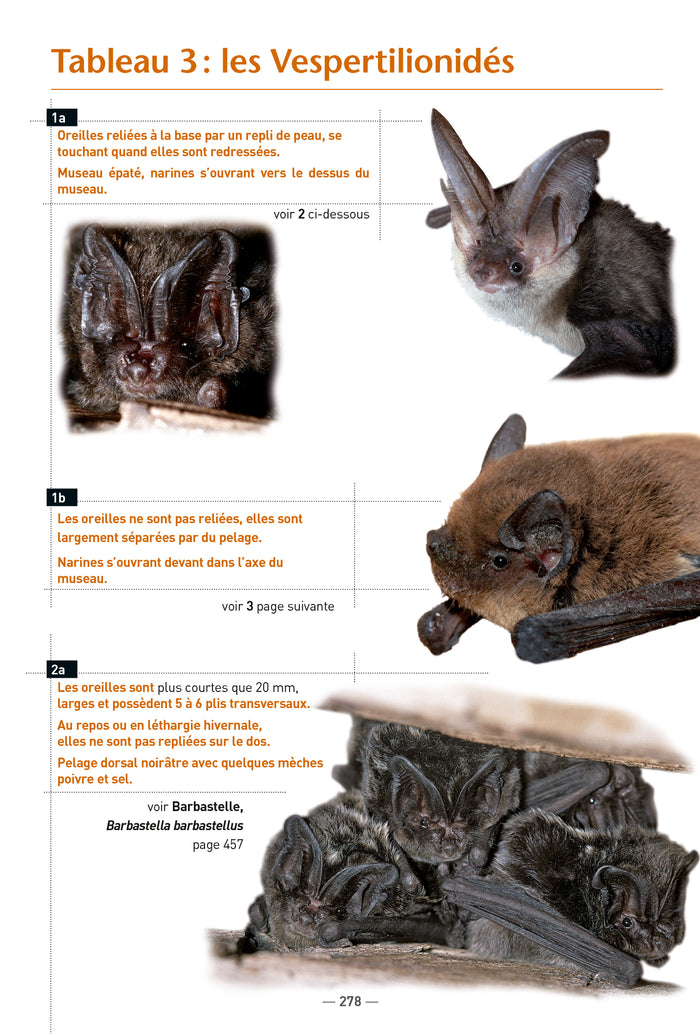 Les chauves-souris de France, Belgique, Luxembourg et Suisse