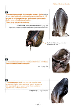 Les chauves-souris de France, Belgique, Luxembourg et Suisse
