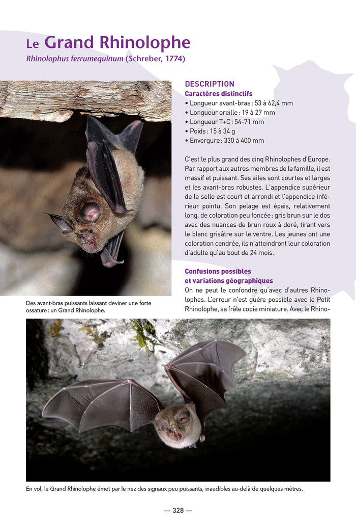 Les chauves-souris de France, Belgique, Luxembourg et Suisse