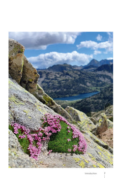 Plantes de montagne