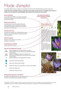 Plantes de montagne