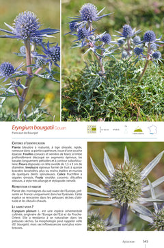 Plantes de montagne