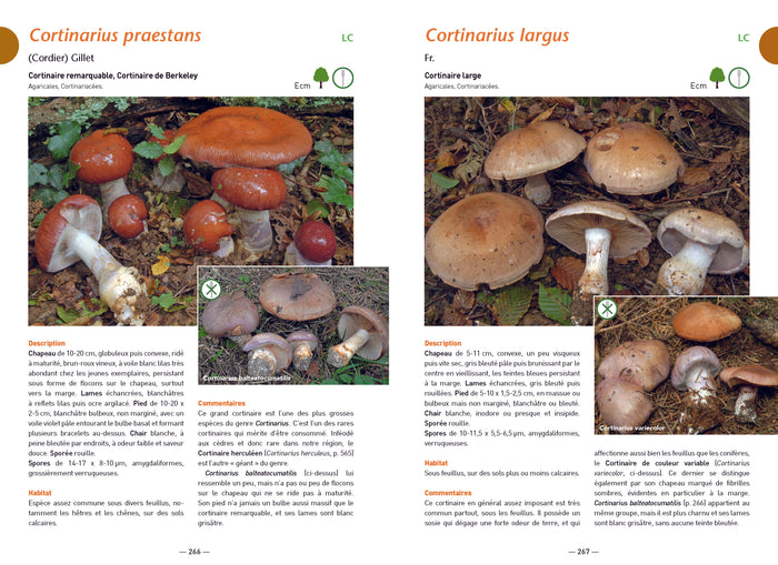 A la découverte des champignons de Bourgogne-Franche-Comté